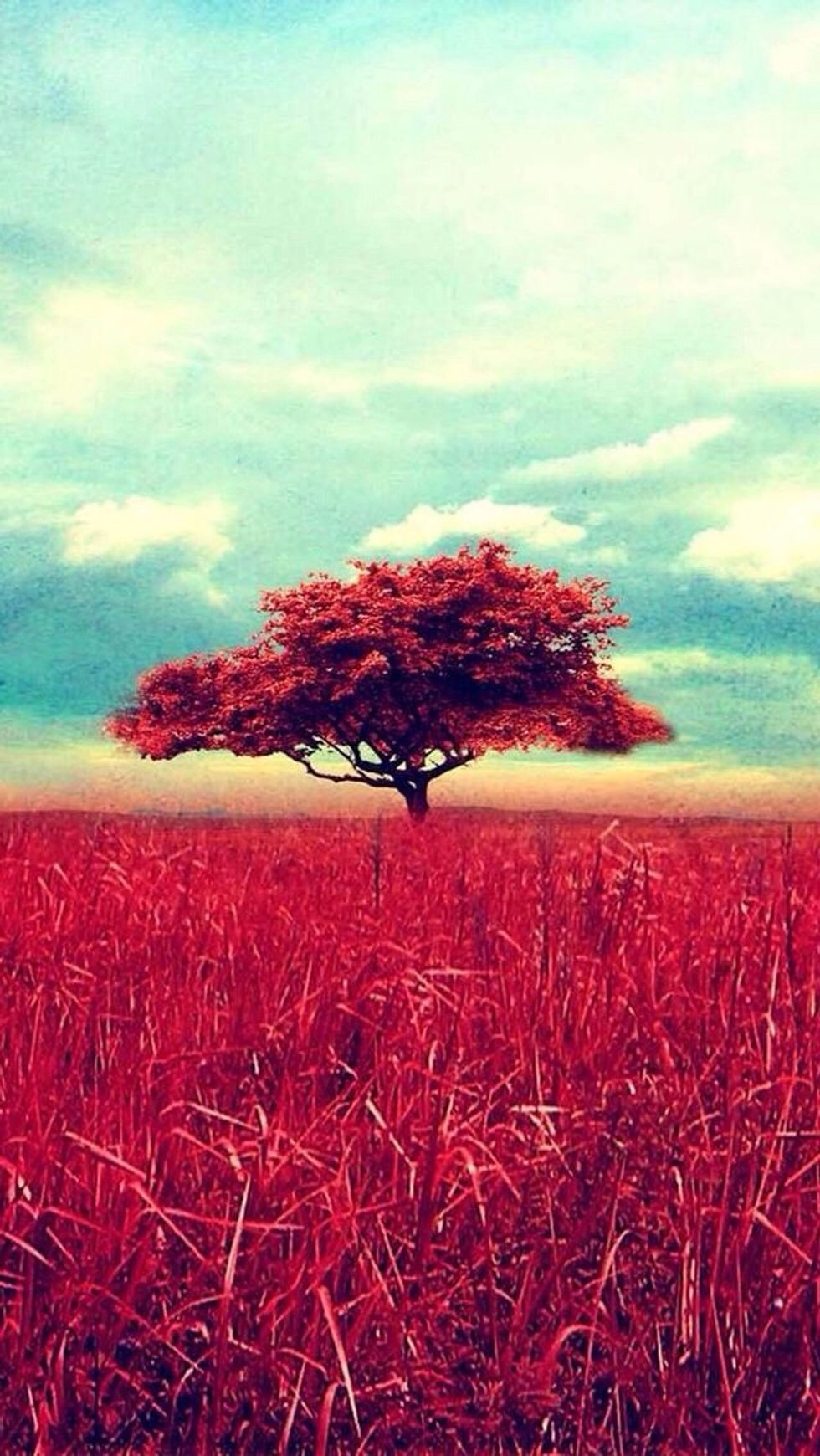 Choose A Wallpaper