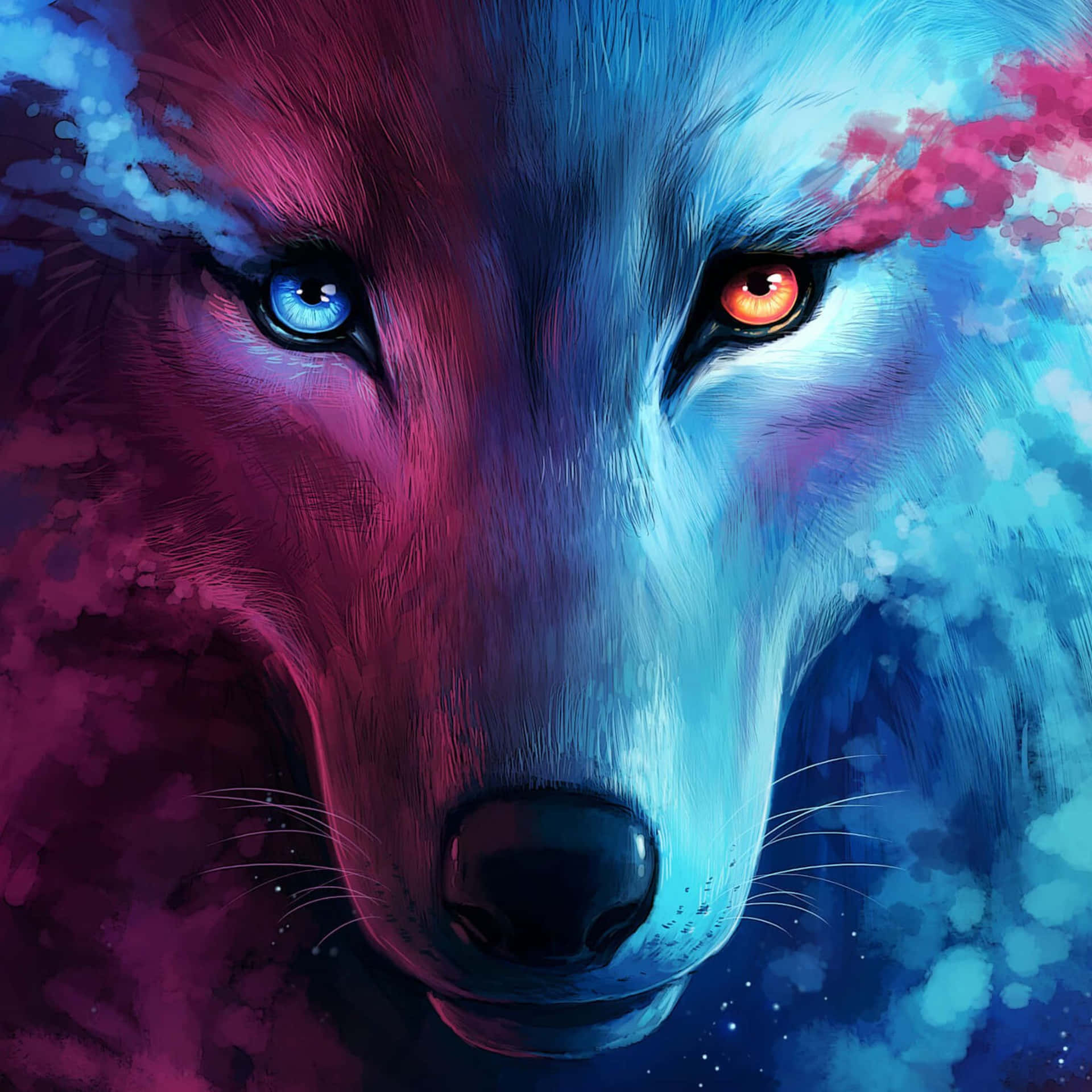 A Fierce Fire And Ice Wolf In All Their Blazing Glory Wallpaper