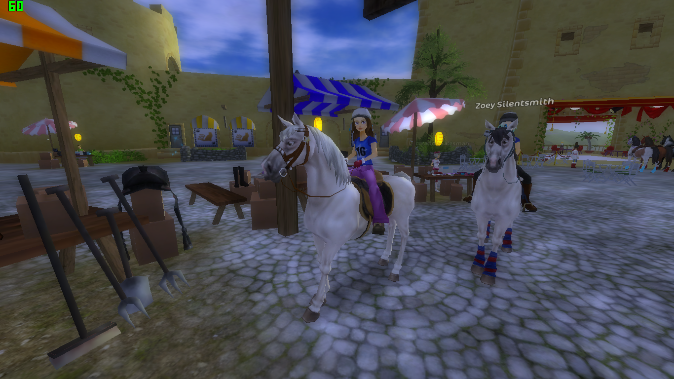 Star Stable Image