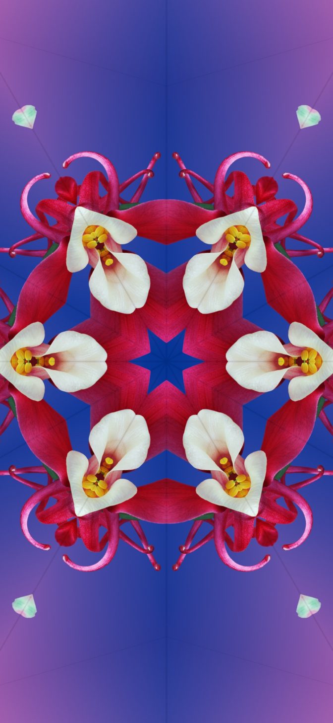 Official Ios Wallpaper For Your iPhone