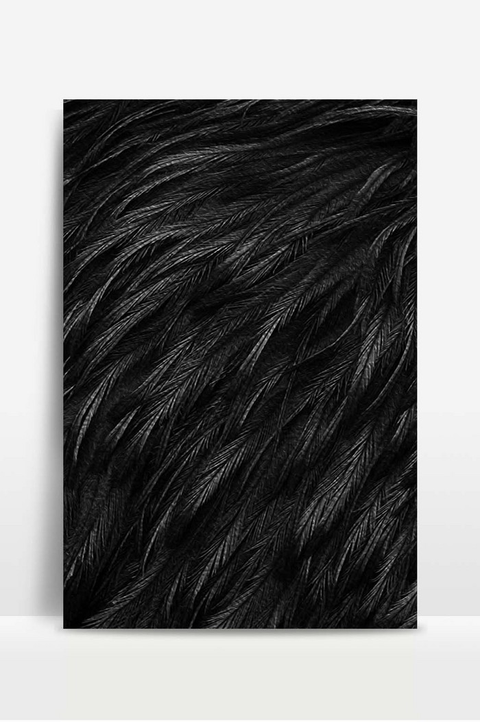 Black Feather Texture Flowing Frilly Background Background