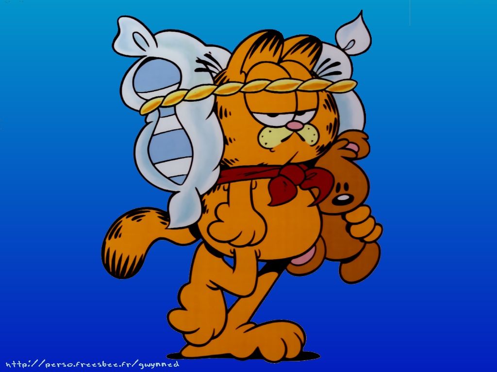 Garfield Desktop Wallpaper Funny Pooky