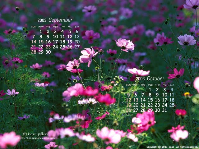October Desktop Calendar Wallpaper Jpg