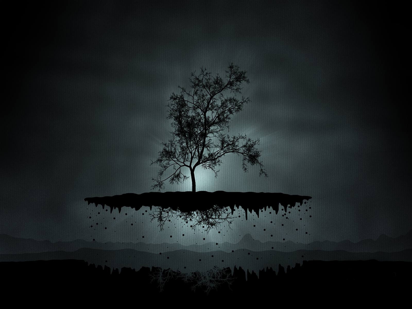 Black Image Tree Wallpaper HD And Background