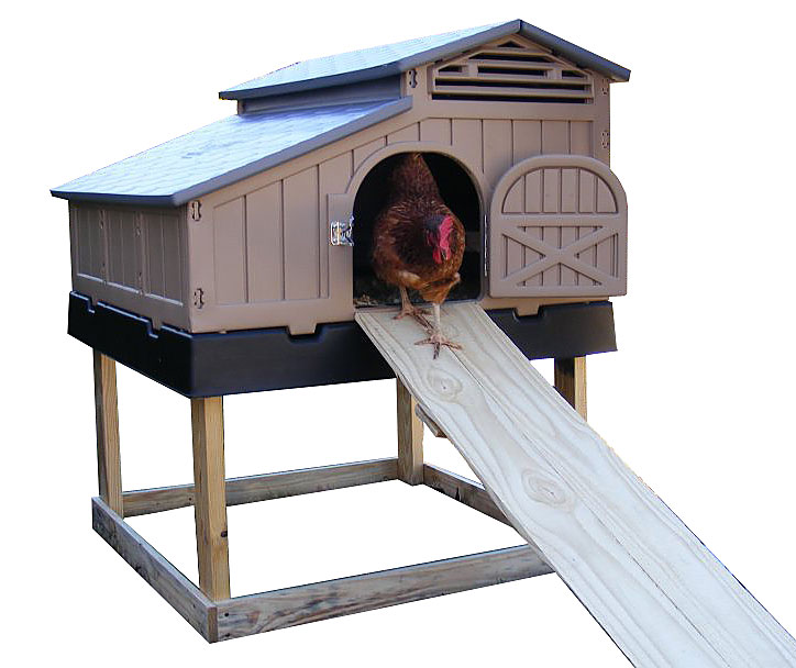 Snap Lock Chicken Coop Up To Chickens From My Pet