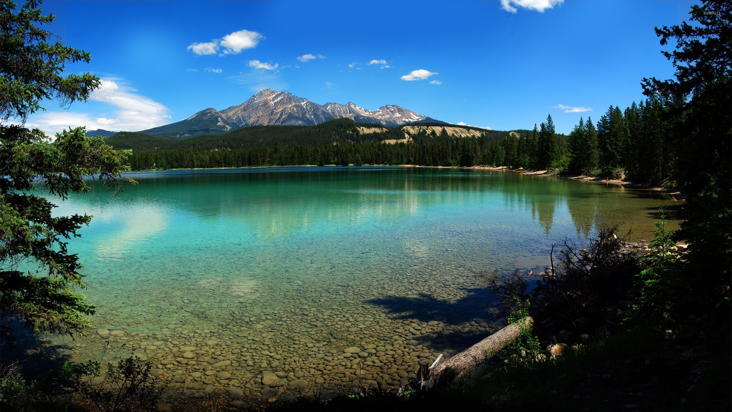 Free download Jasper National Park wallpaper Nature wallpapers 22999 [2560x1440] for your Mobile Tablet | Explore 50+ 2K Wallpapers | Best 2K Wallpapers, HD Wallpapers, 2K Resolution Wallpapers