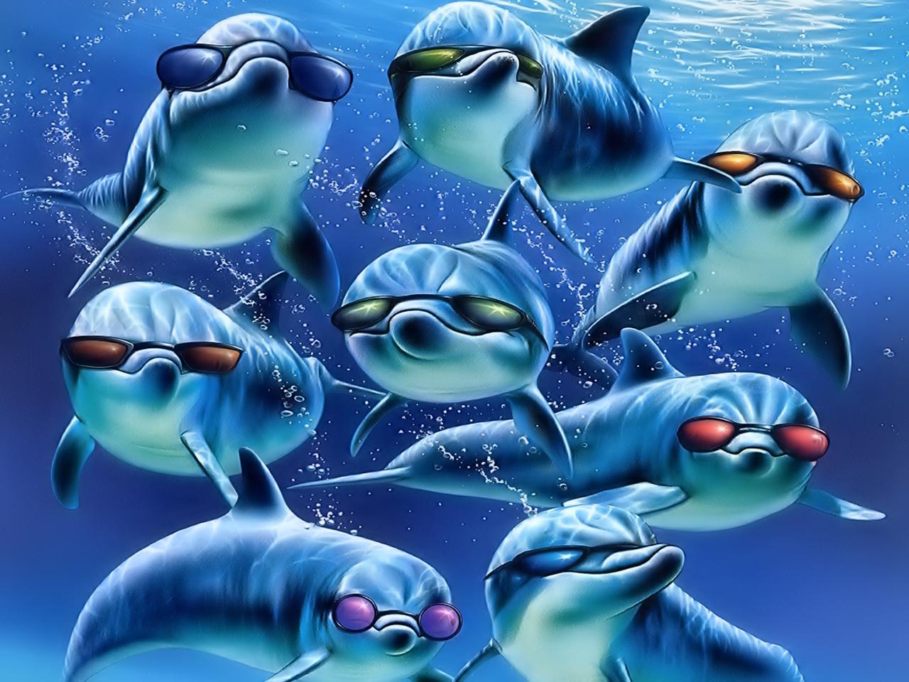 Dolphin Desktop Wallpaper HD In Animals Imageci