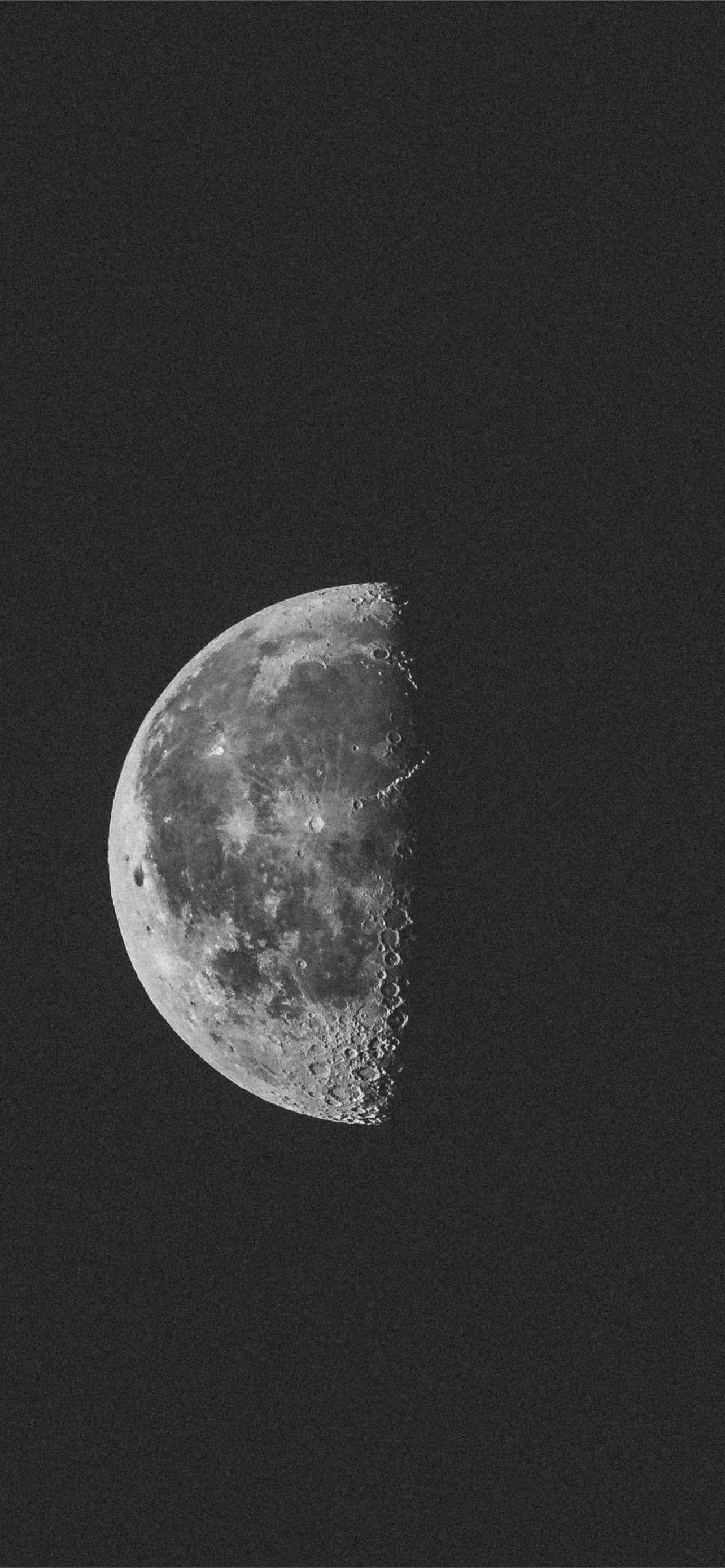 Half Background Wallpaper