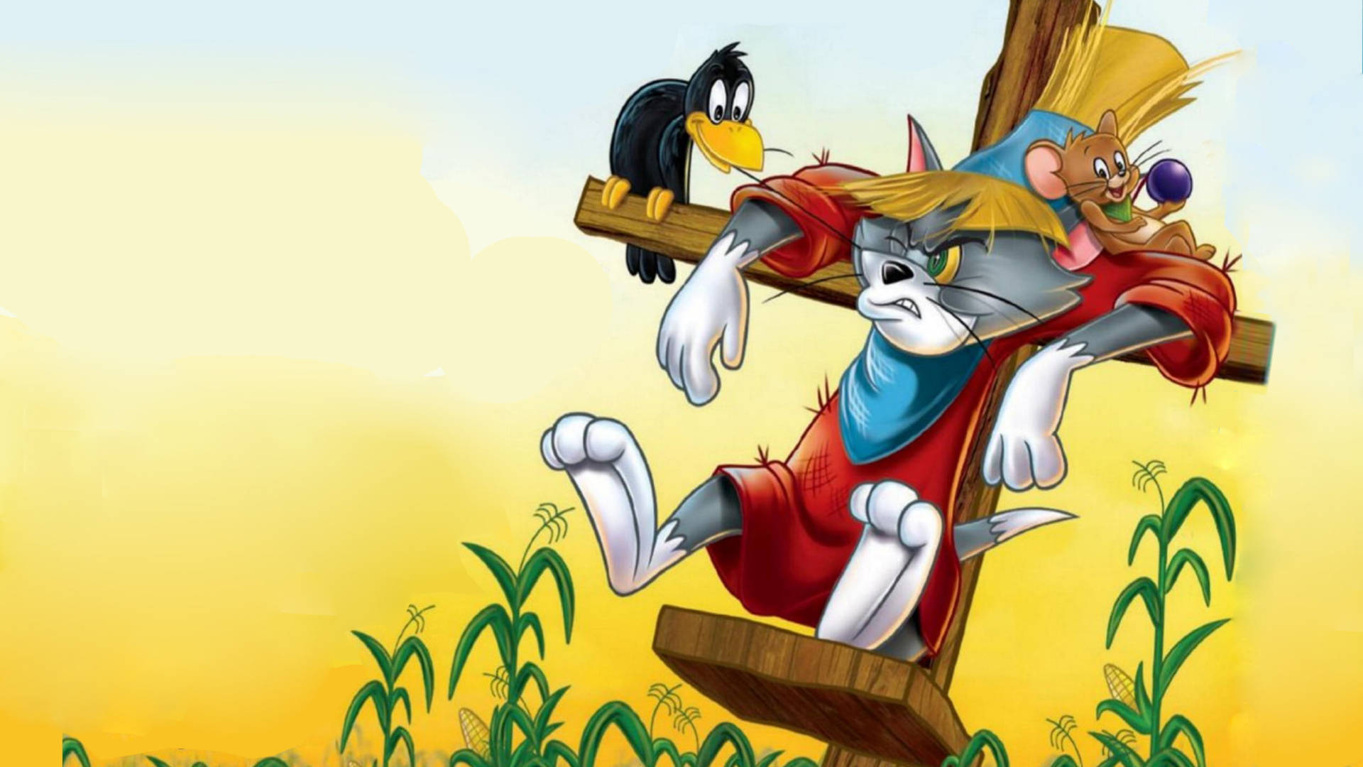 Tom And Jerry Wallpaper