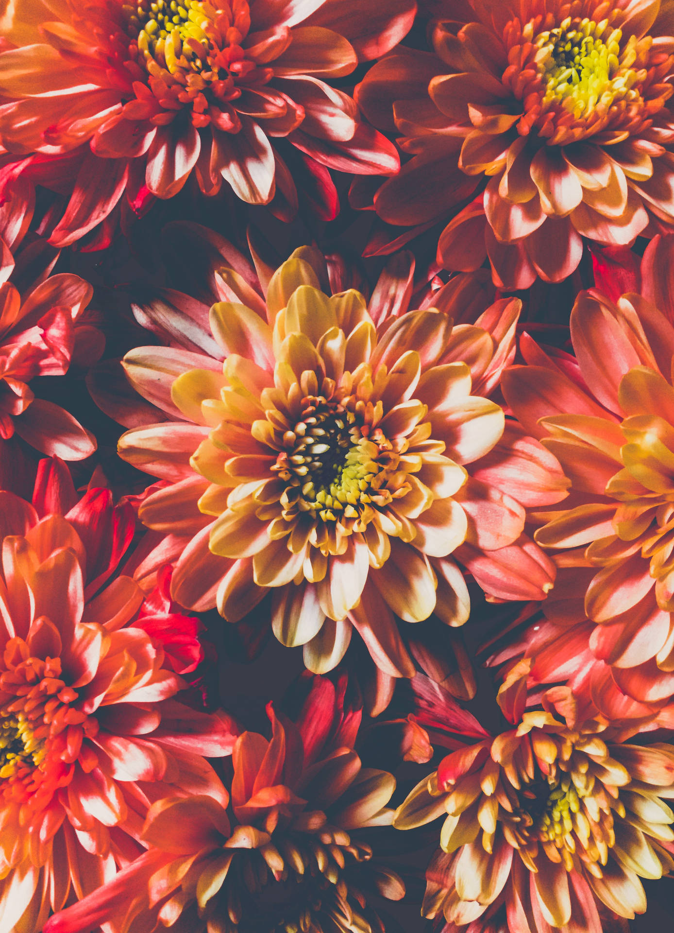 Top Cool iPhone Wallpaper Full HD 4k To Use