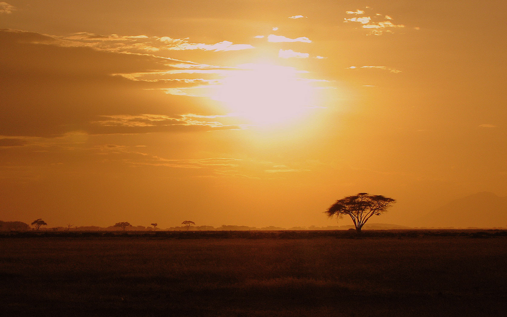Kenia Amboseli Sunset HD Desktop Wallpaper