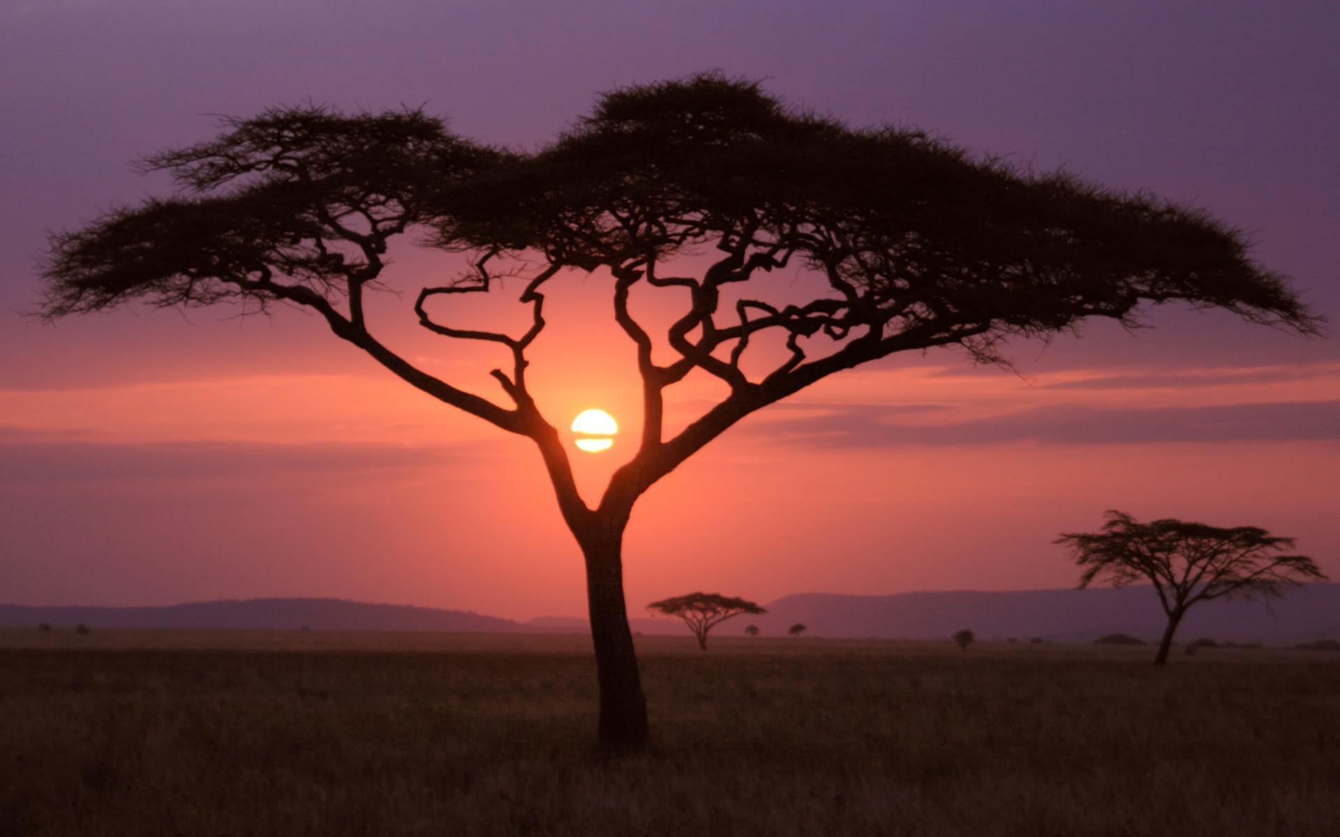 Best Savannah Desktop Background Beautiful