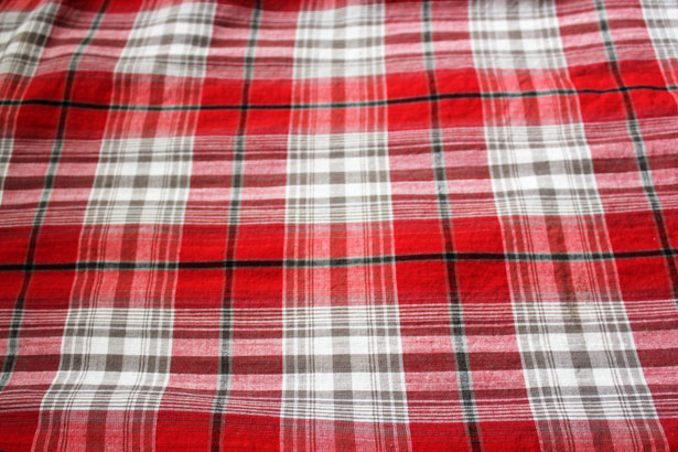 Red Checkered Background 9 Free Stock Photo   Public Domain Pictures