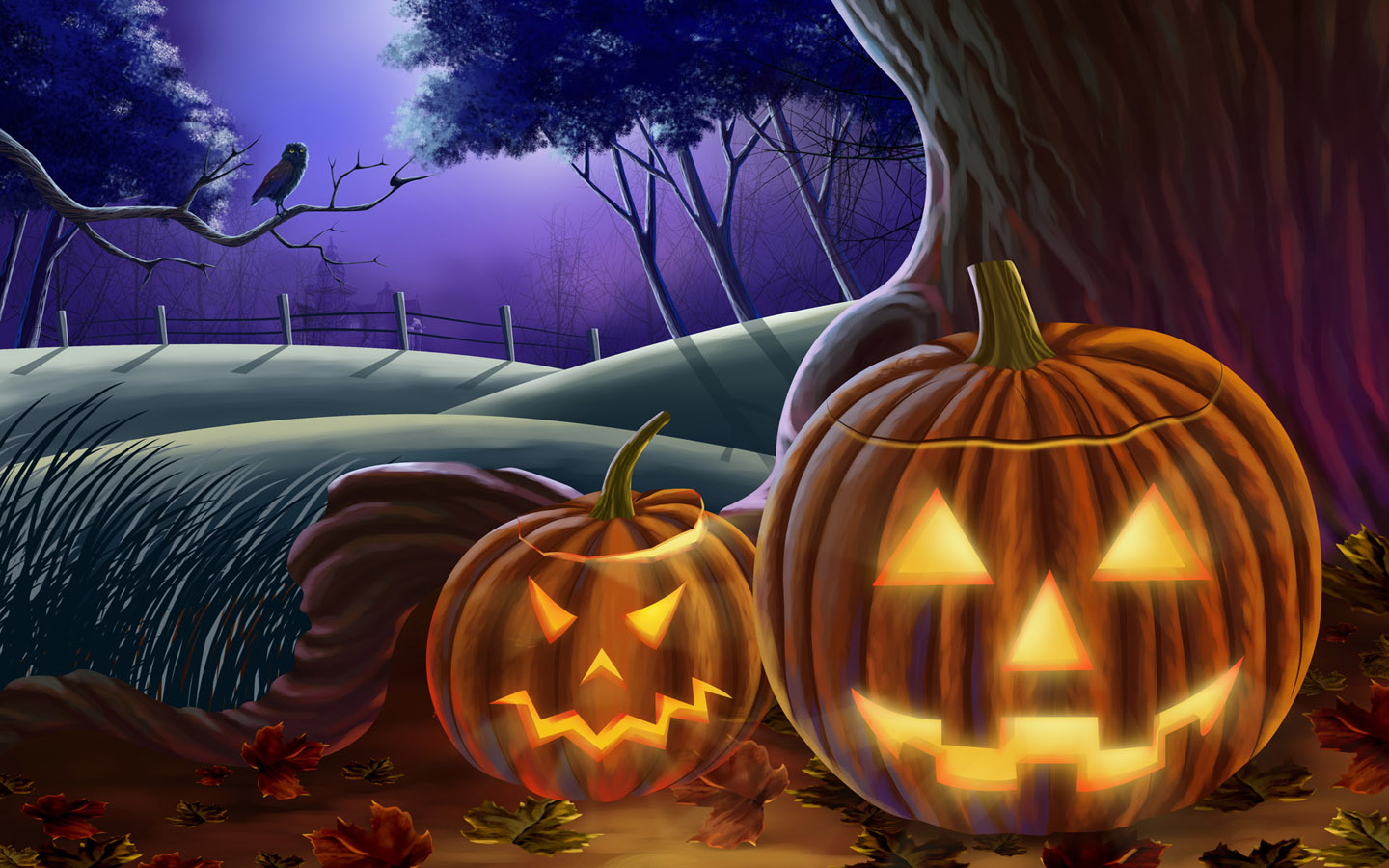 Scary Halloween HD Wallpaper Pumpkins Witches Spider Web