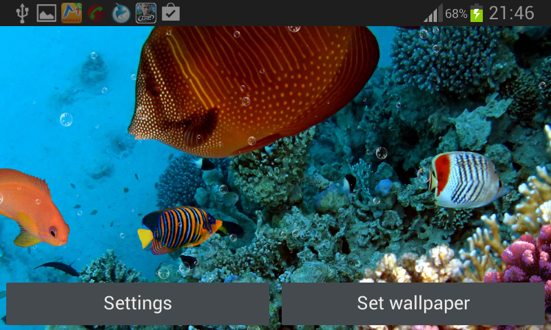 Coral Reef Live Wallpaper Android Apps On Google Play