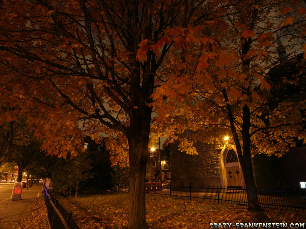 Cool Autumn Night Wallpaper