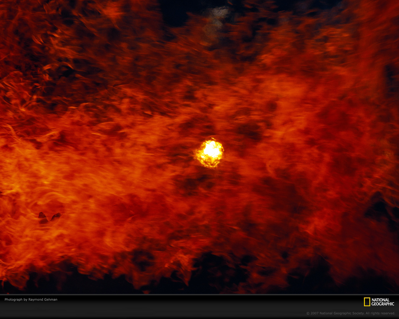 download the new for windows Forest Fire
