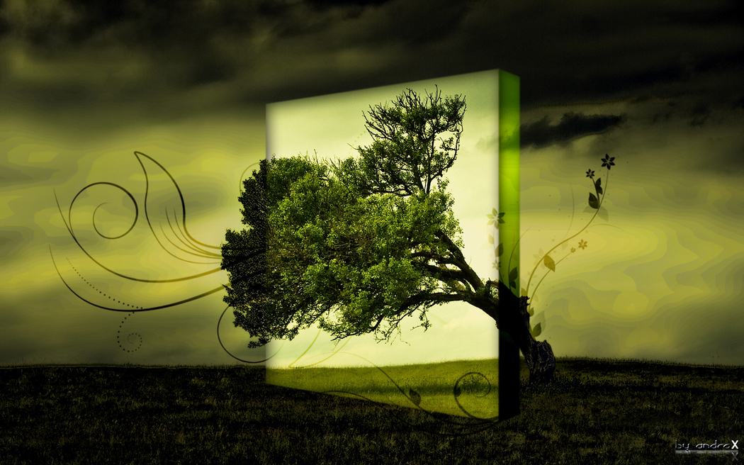 Wallpaper Imagine A Lonely Tree By Andrex Customize Org