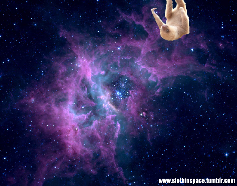 Space Sloth Wallpaper Sloth in space 771x606