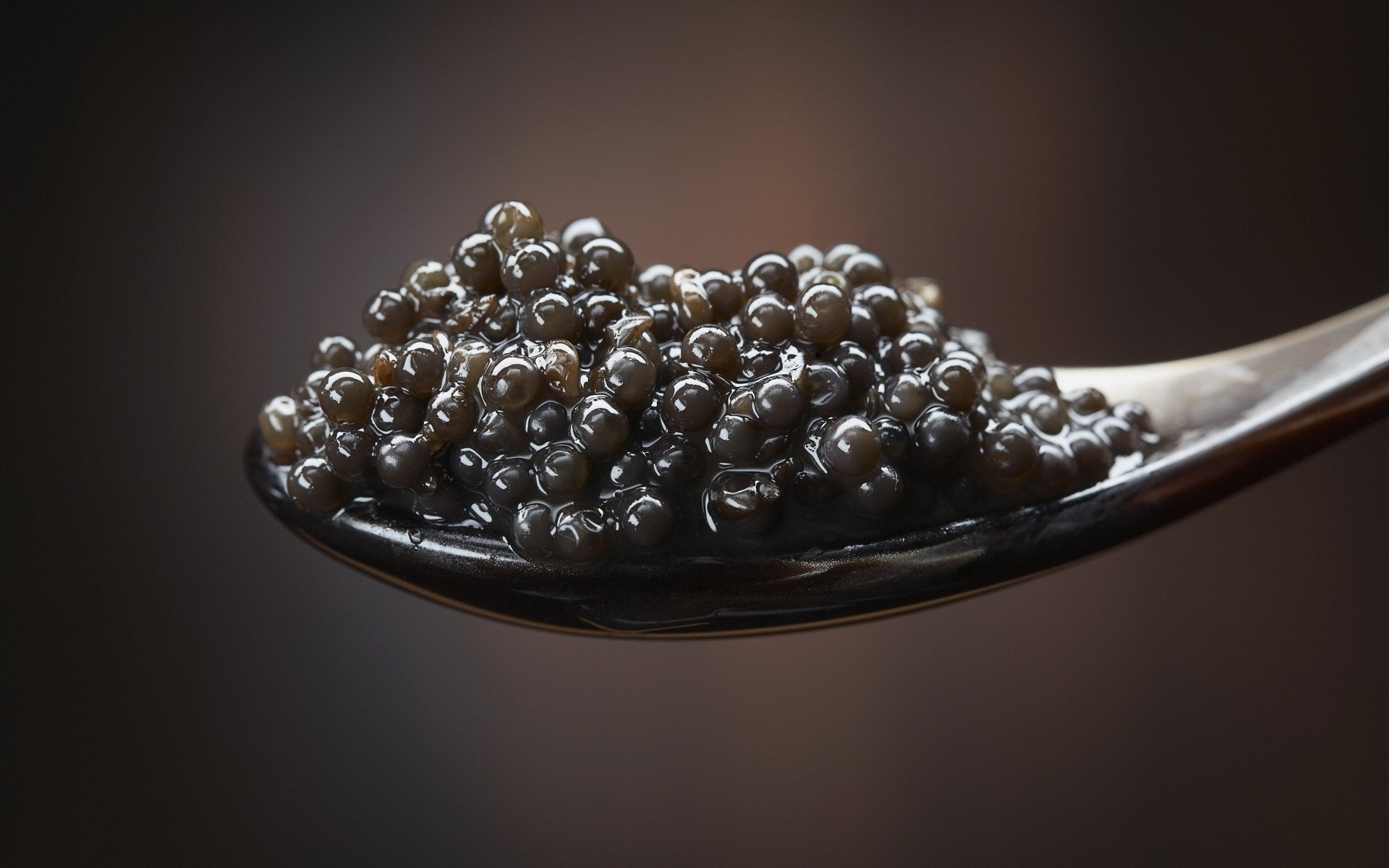Caviar HD Wallpaper Background Image Id