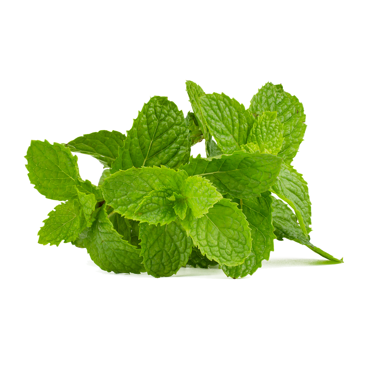 Fresh Mint Leaves on Black Background