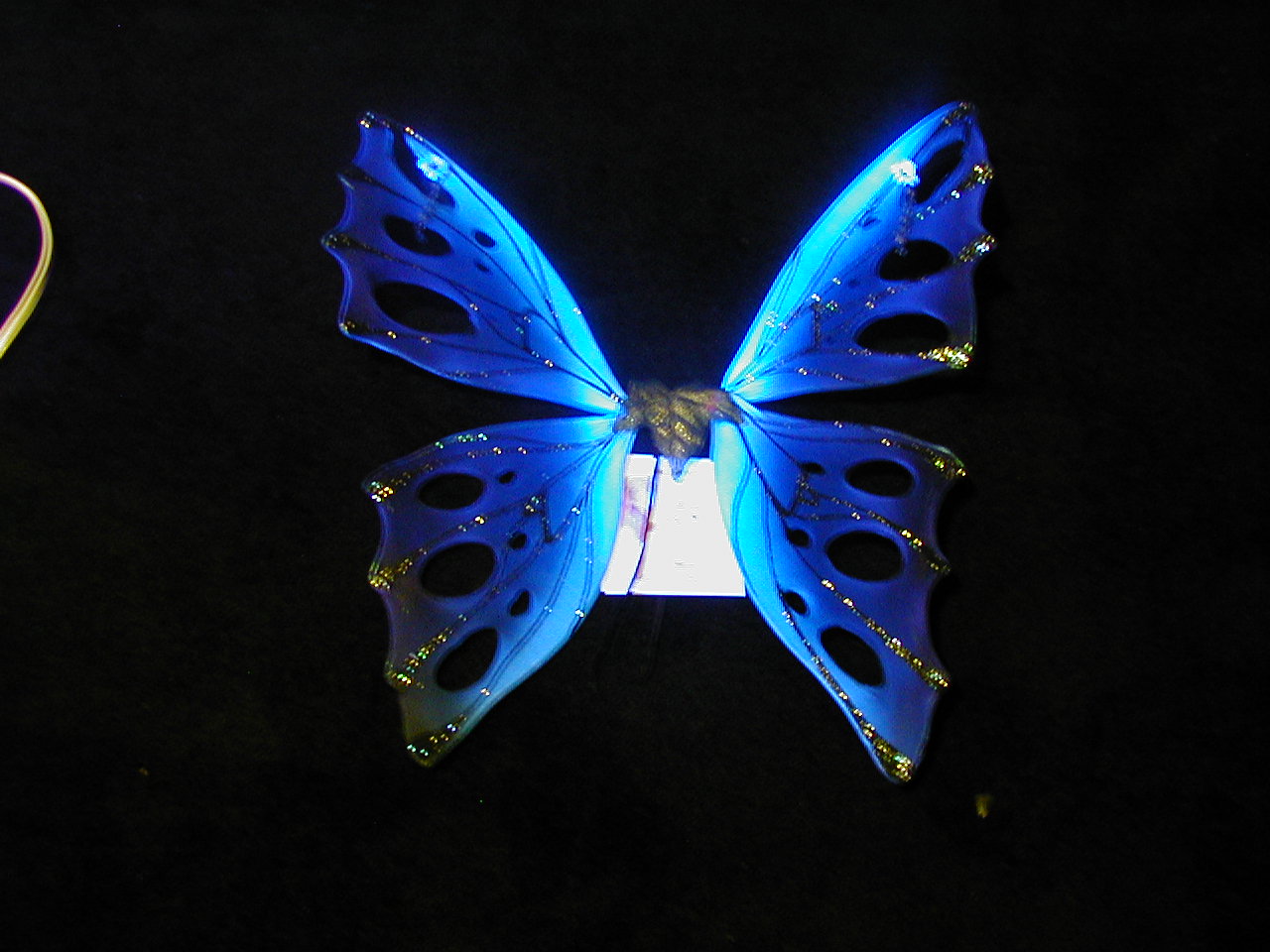 Amazing Dark Blue Butterfly Color Okay Wallpaper