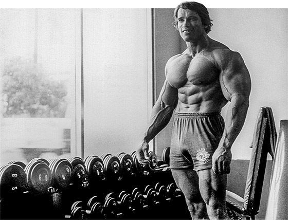 Psychological Warfare Lessons From Arnold Schwarzenegger Ignore