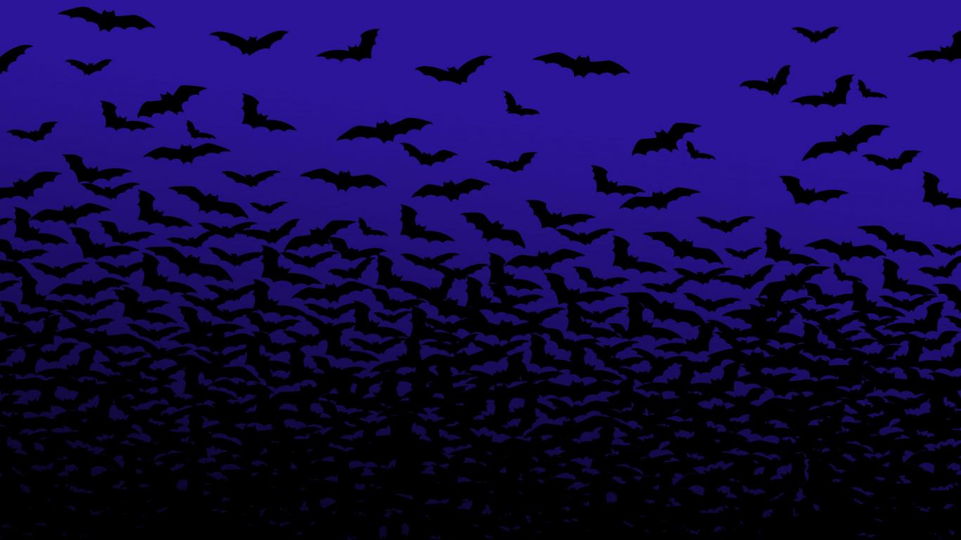 Cute Bat Wallpaper HD In Animals Imageci