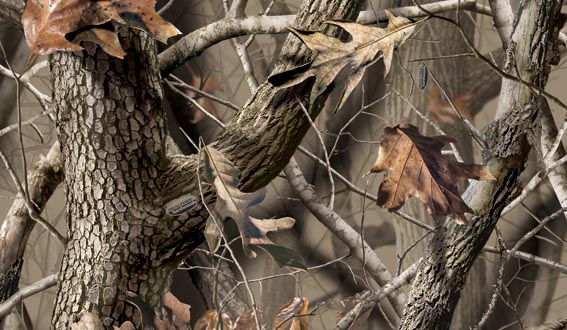 Realtree Camo Wallpaper For Walls Release date Specs Review