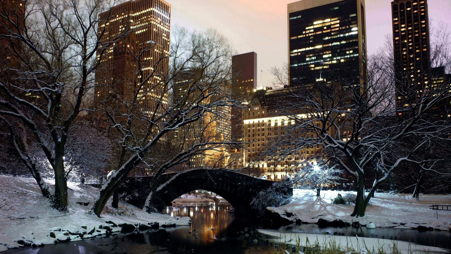 Central Park Winter Wallpaper