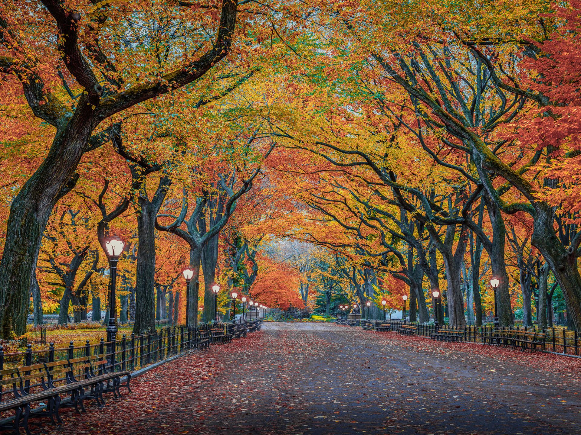 4k Fall Wallpaper