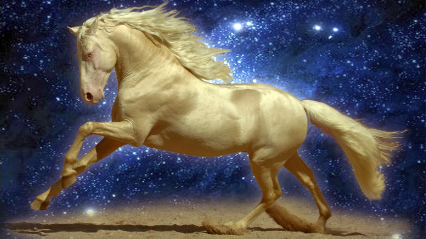All New Wallpaper HD Desktop Horse