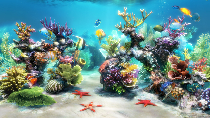 best aquarium screensaver free download