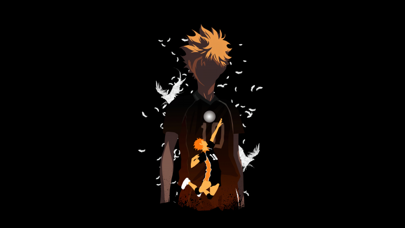 4k Shoyo Hinata Wallpaper