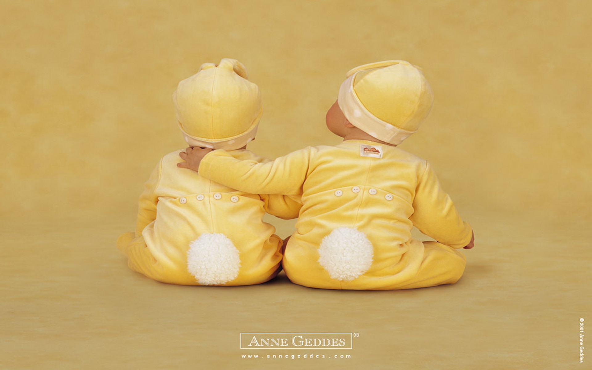 Related Pictures Anne Geddes Baby Wallpaper Prints Desktop