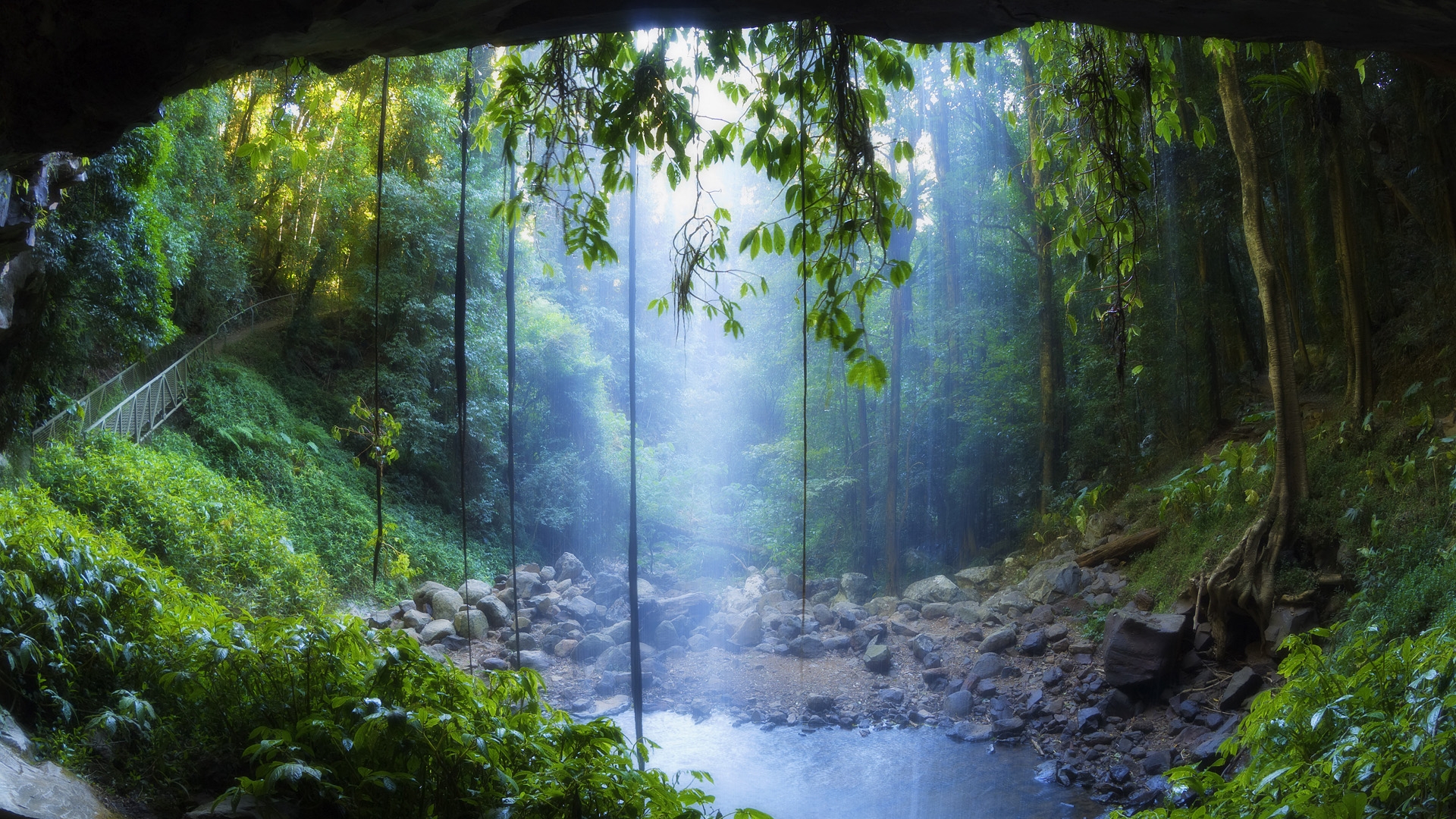 Landscapes Rain Forest Drog Fog Mist Trees Woods Water Pool Sunlight