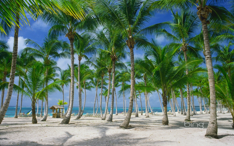 Bing Microsoft S Best Nature Beaches HD Desktop Wallpaper