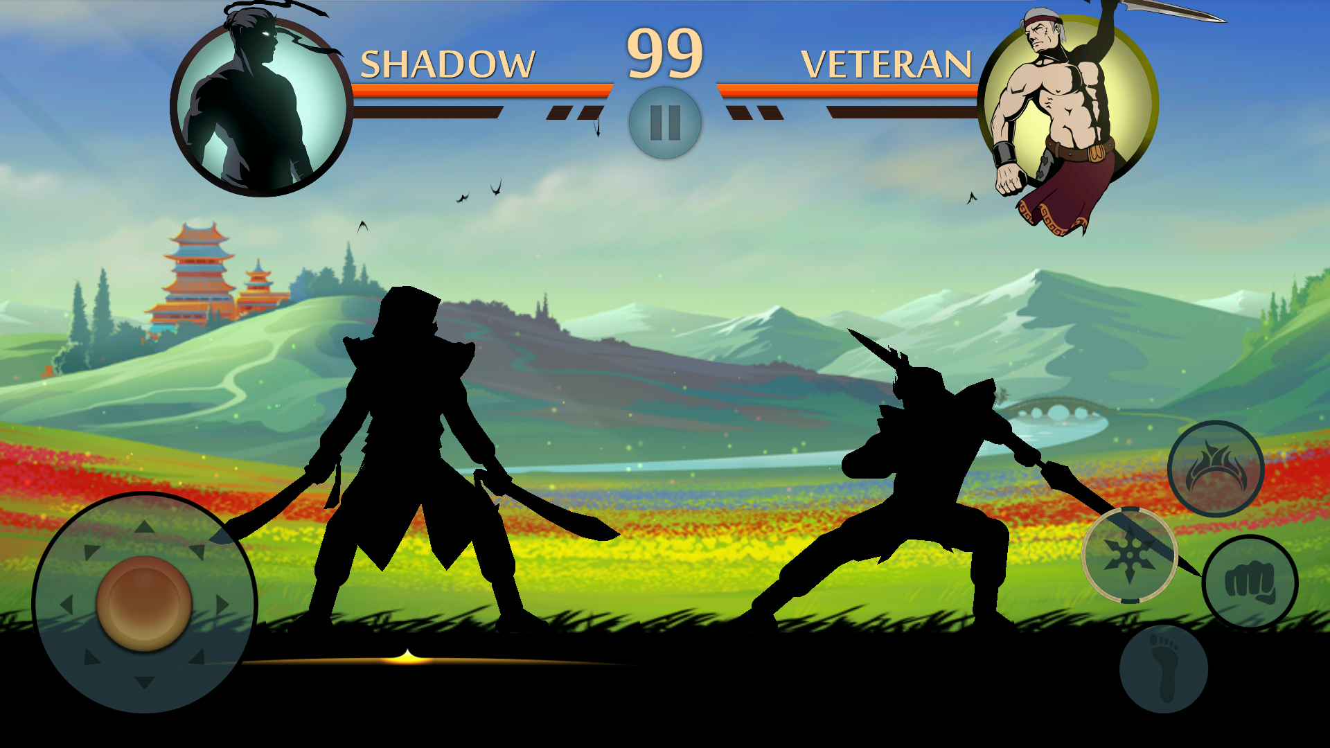 Необходимо wifi или 4g соединение shadow fight