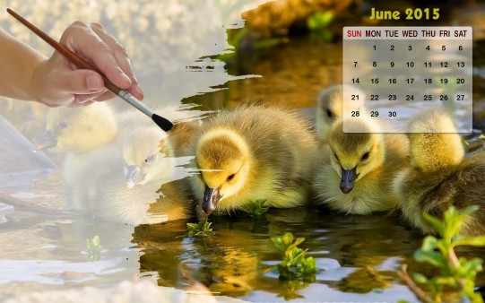 Month Wise Calender Wallpaper Calendar June