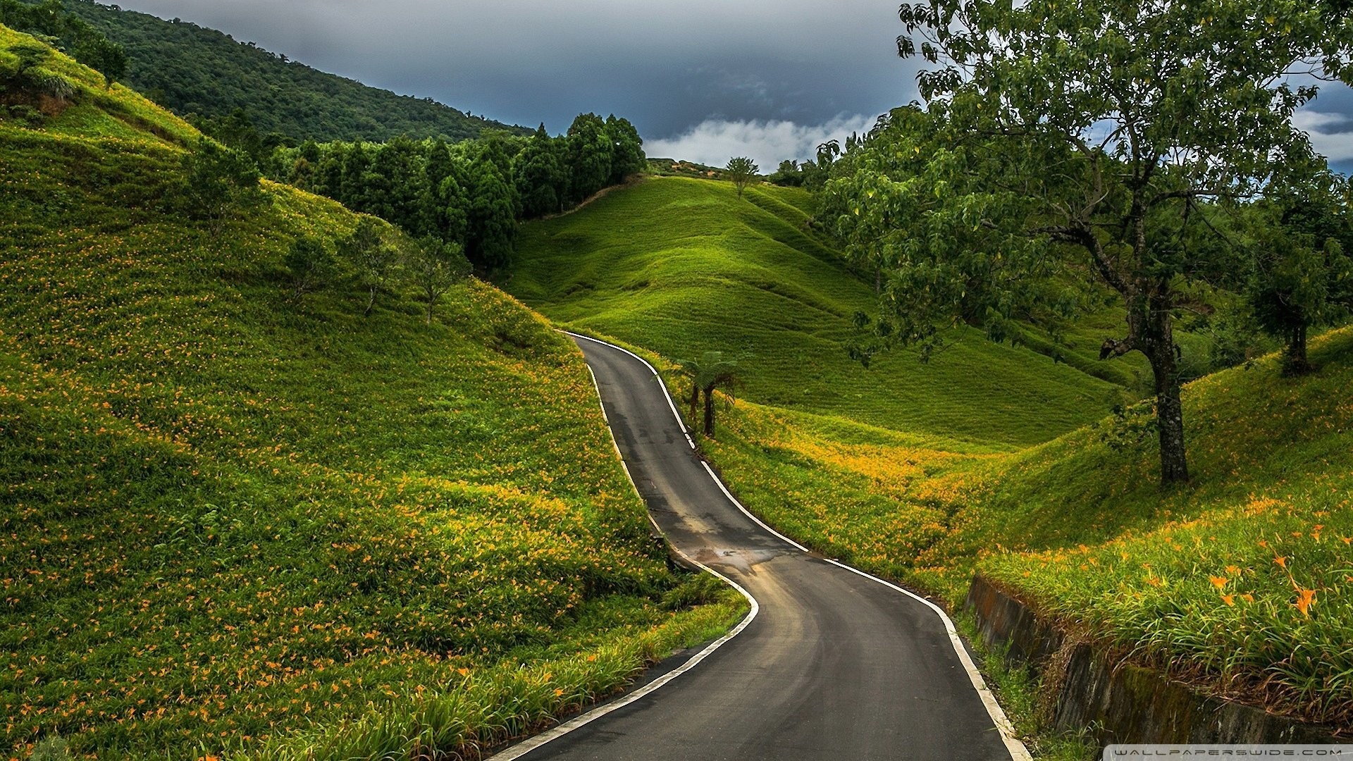 Green Hills Wallpaper