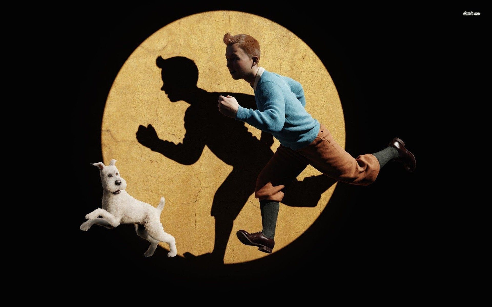 He Adventures Of Tintin Cartoon Wallpaper