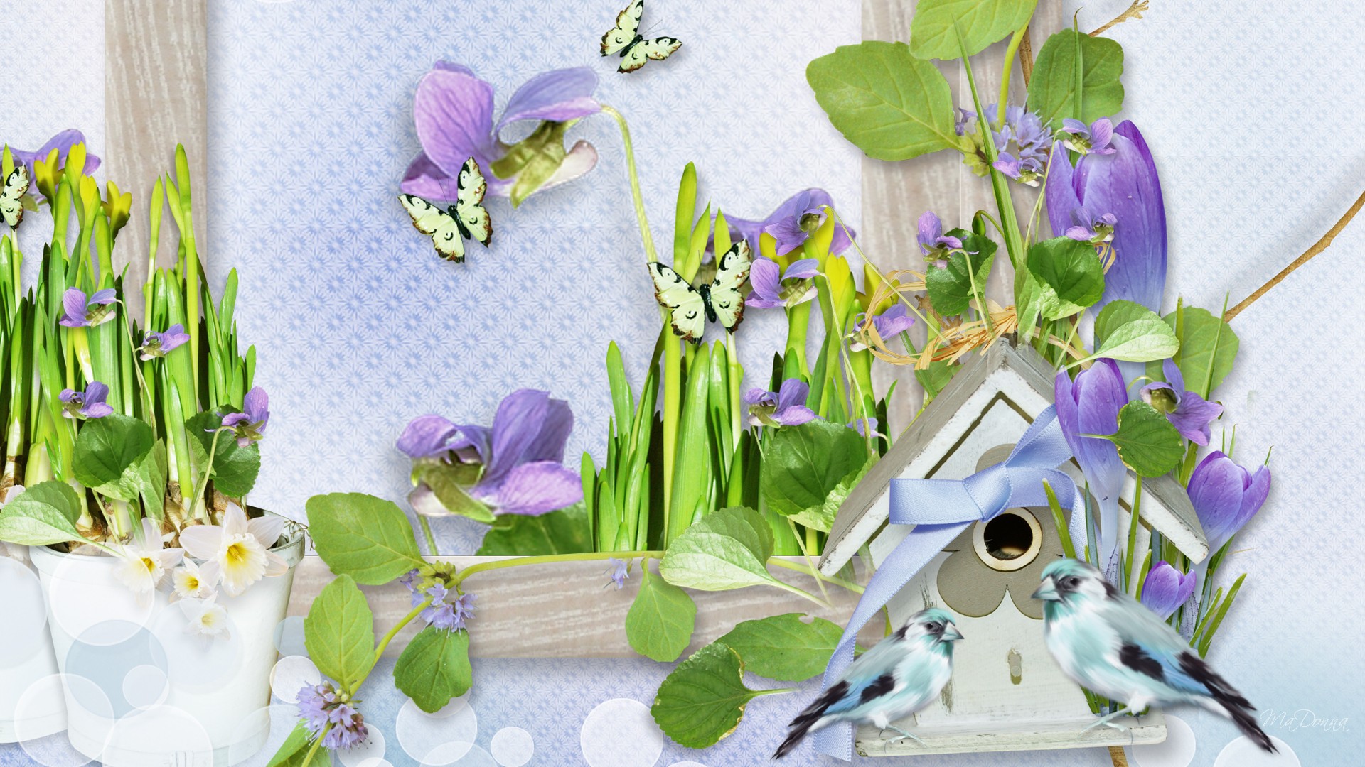 Crocus Spring Birds Bird House Violets Blue Window Summer 3d