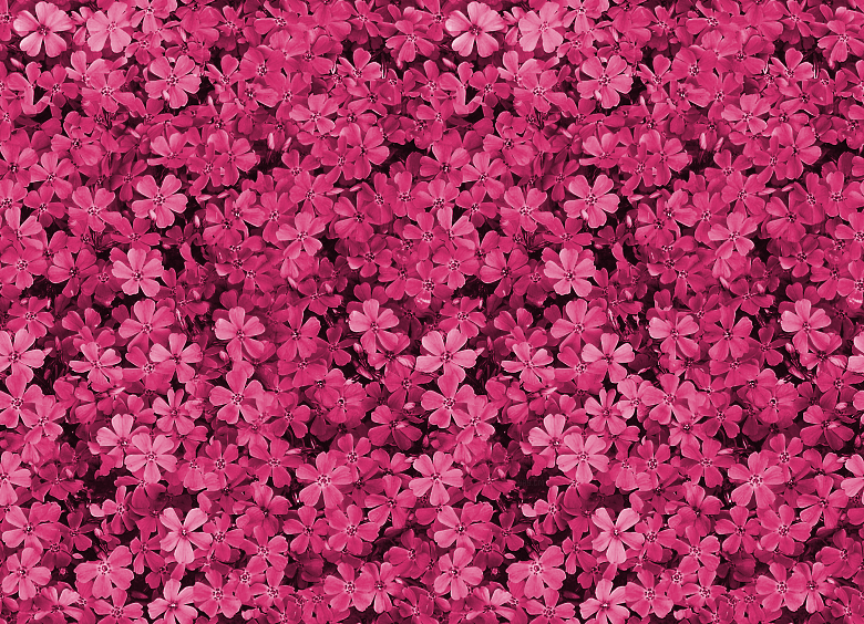 Awsome Background Wallpaper Pretty Pink
