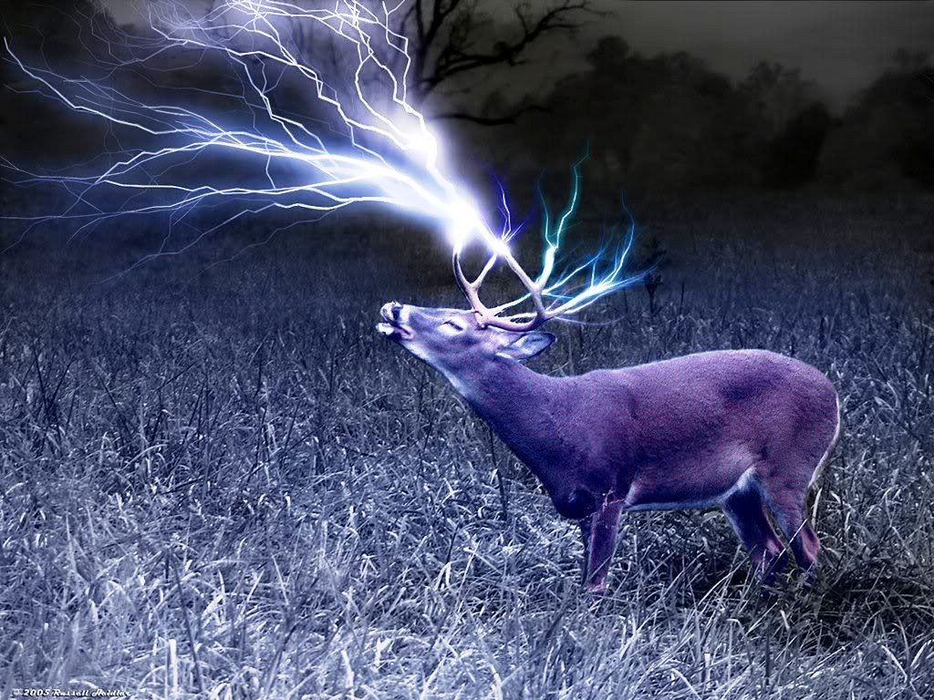 Desktop and Mobile Bowhunting Background Images  Page 2 of 5   Bowhuntingcom