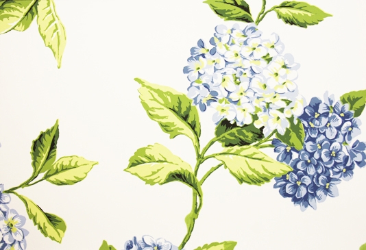 Hydrangea Wallpaper A Large Floral Patterned Featuring Blue