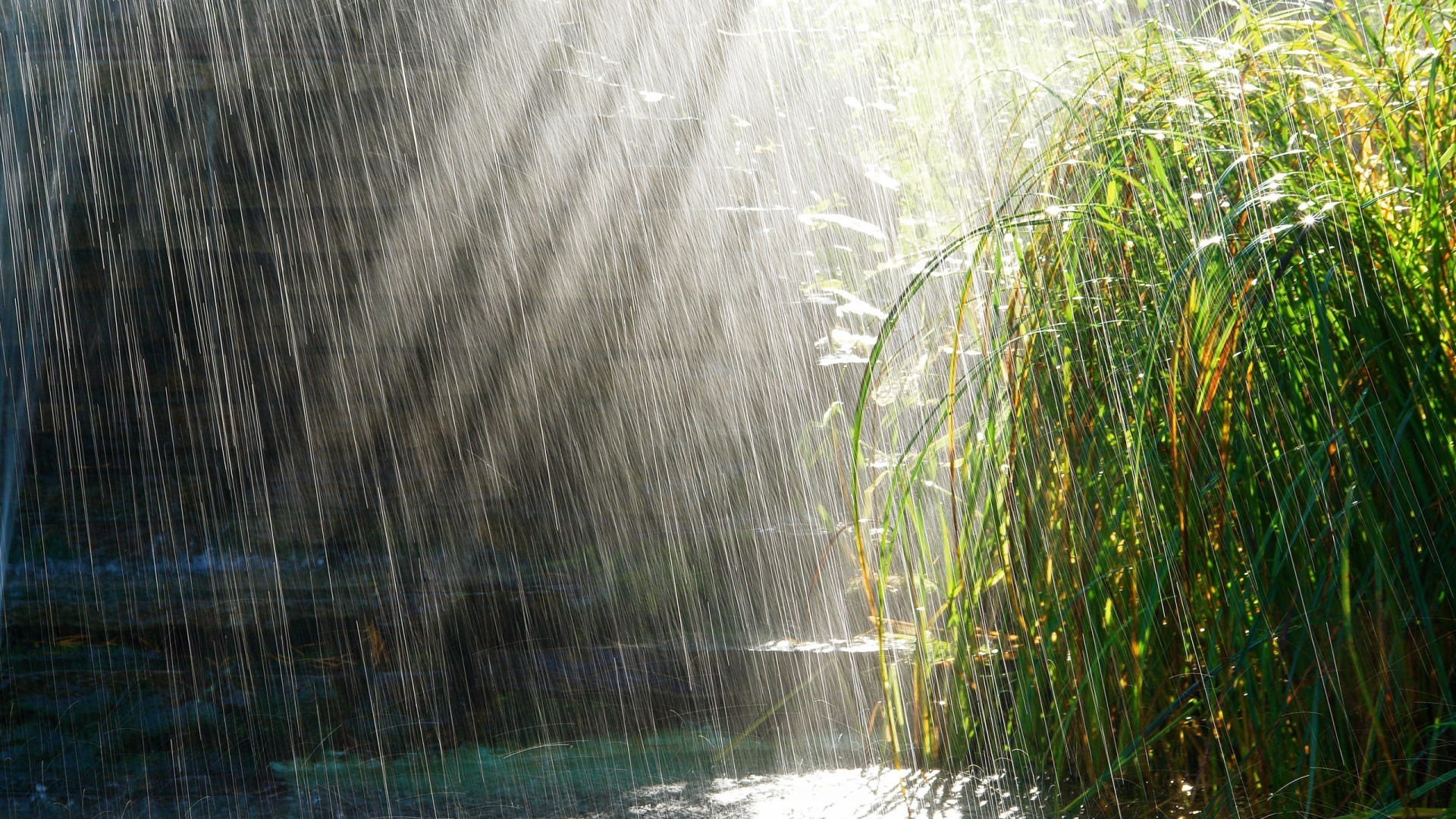Rain Wallpaper HD
