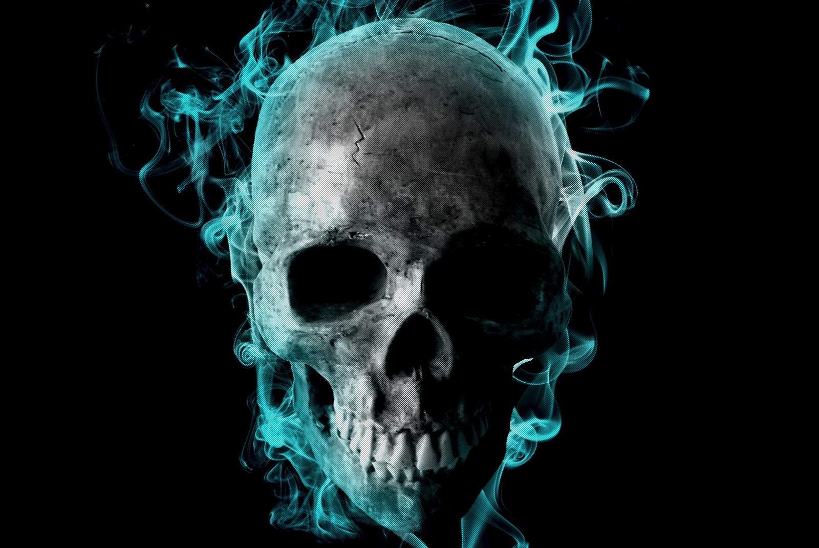 Skull Background Video Search Engine At