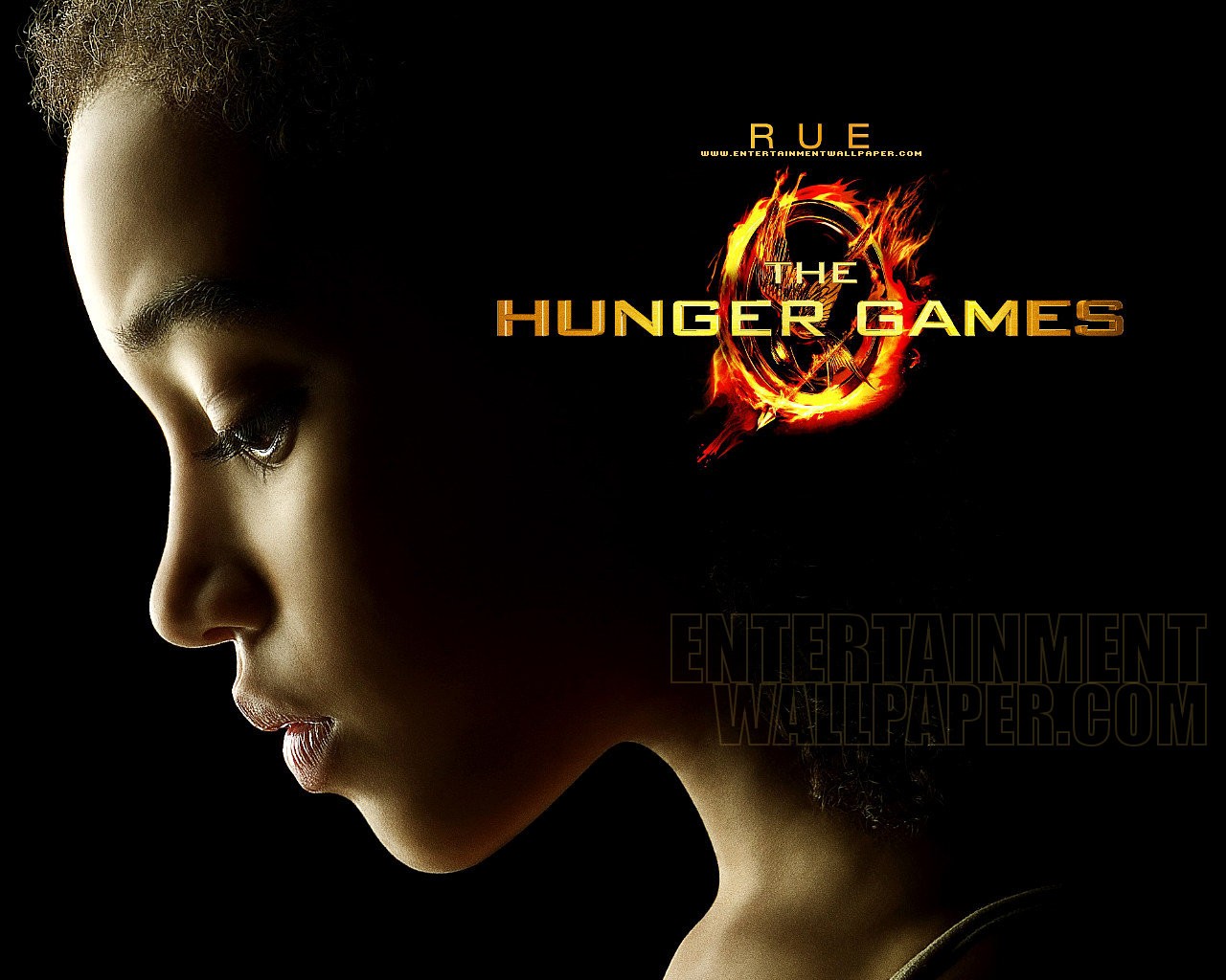 Hunger Games Wallpaper Size More The
