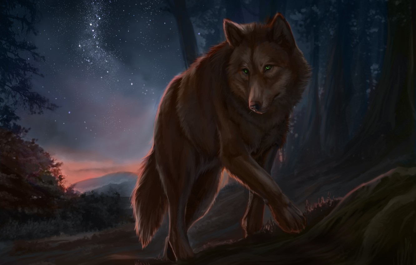 Wallpaper Night Wolf Artwork Image For Desktop Section