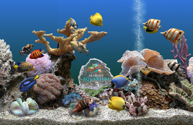 marine aquarium screensaver free download